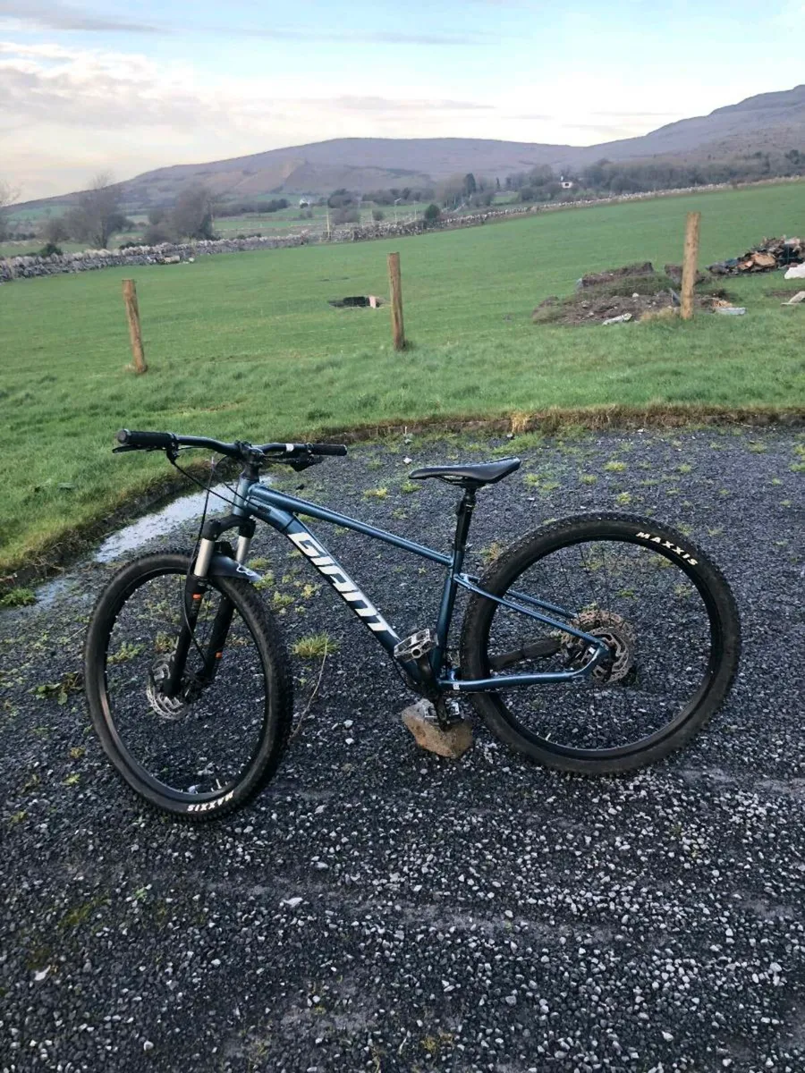 Giant talon 0 (open to offers) - Image 1