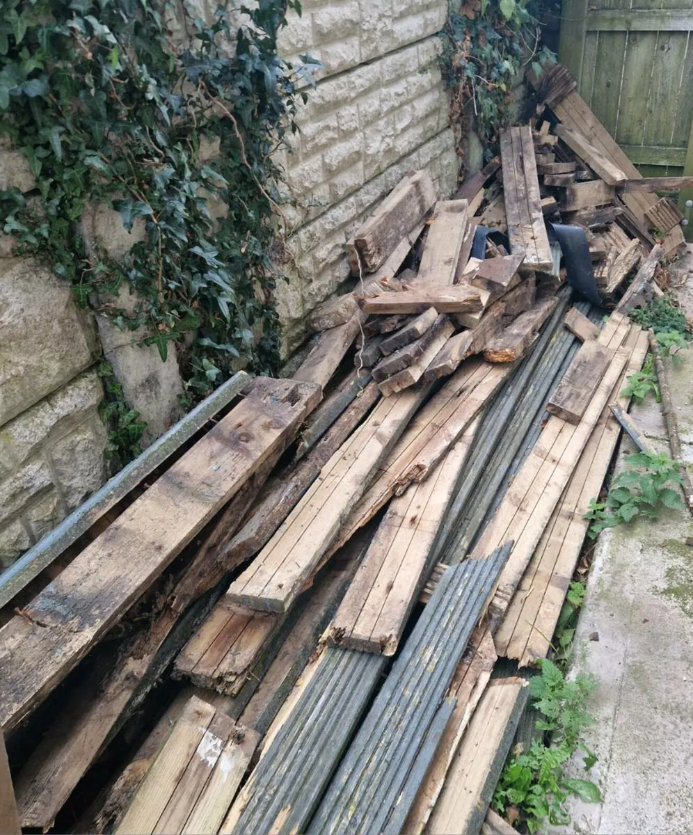 Timber - Image 2