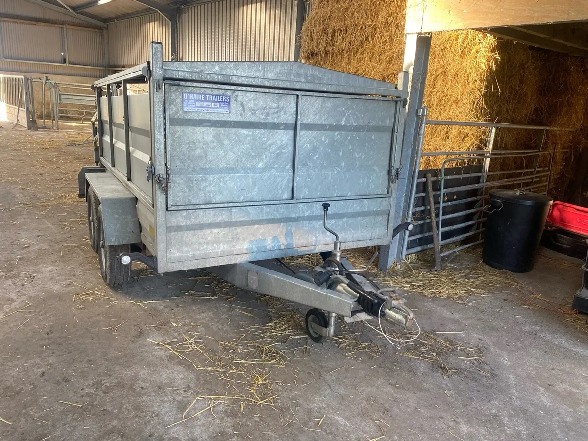 8x5 sheep/calf trailer - Image 2