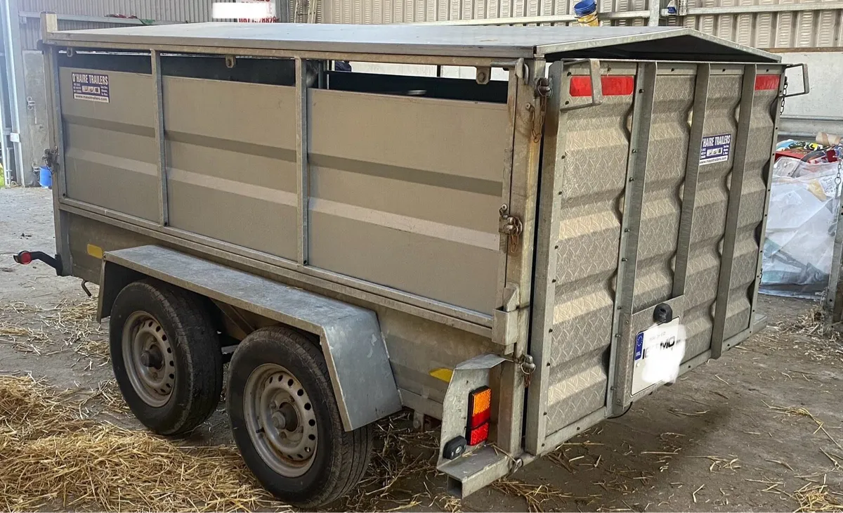 8x5 sheep/calf trailer - Image 4