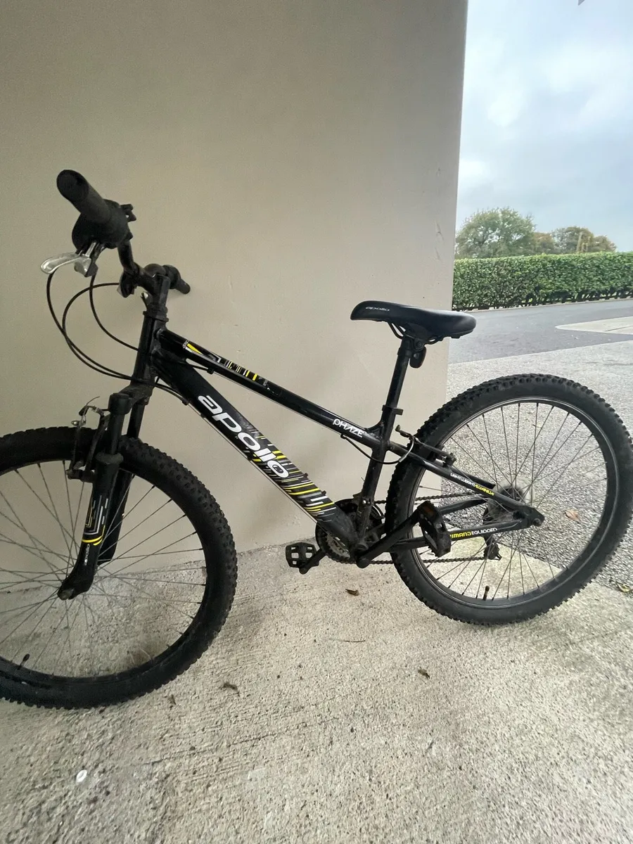 Mountain bike - Image 1