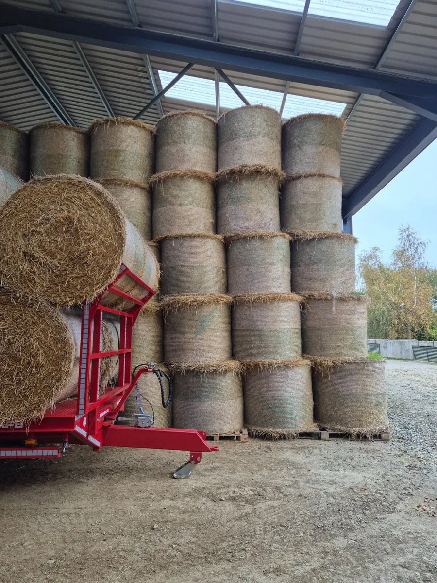 Small square and 4x4 bales straw for sale - Image 4
