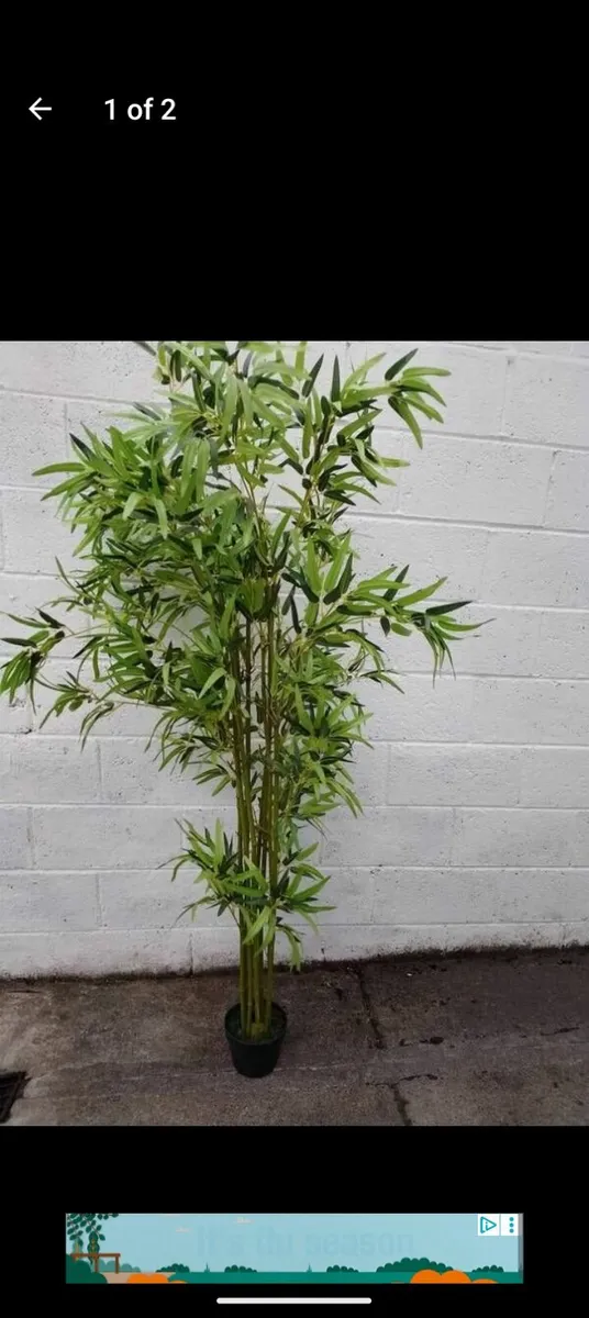 Artificial plant - Image 2