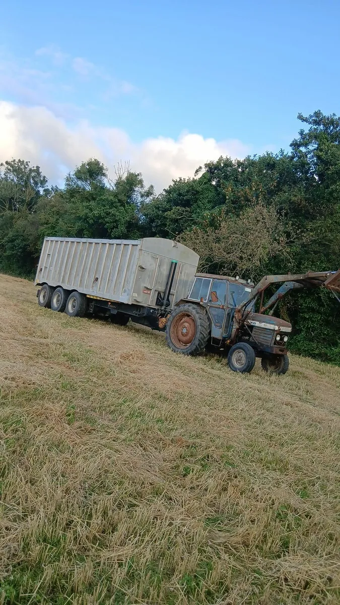 Leyland 272 10 speed - Image 1