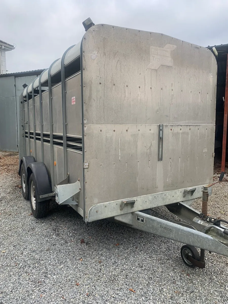 Ifor Williams 12x5”10ft Cattle Trailer - Image 1