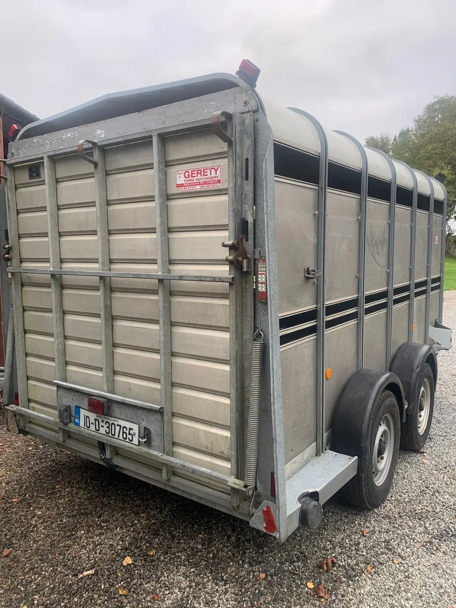 Ifor Williams 12x5”10ft Cattle Trailer - Image 2