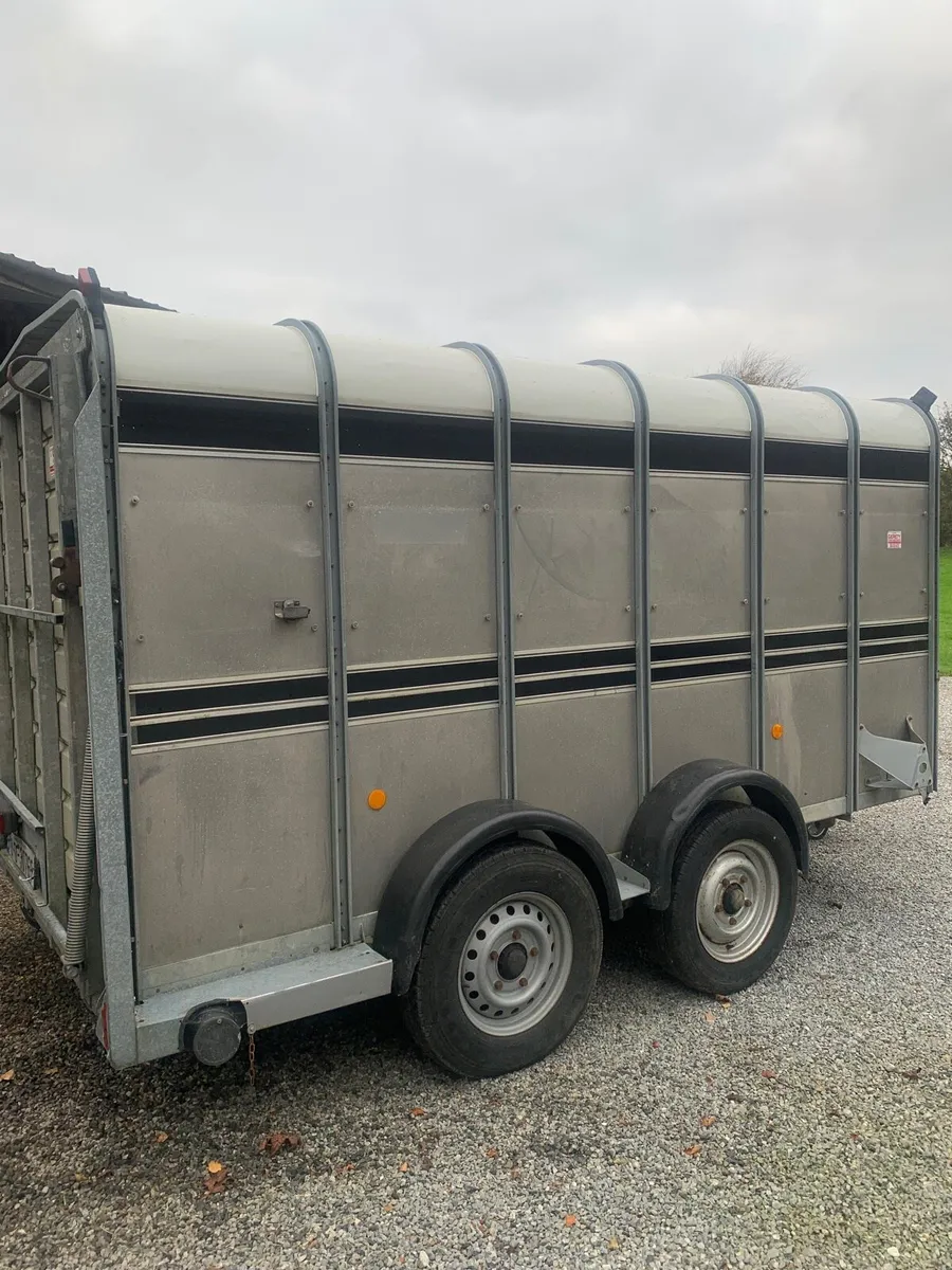 Ifor Williams 12x5”10ft Cattle Trailer - Image 3