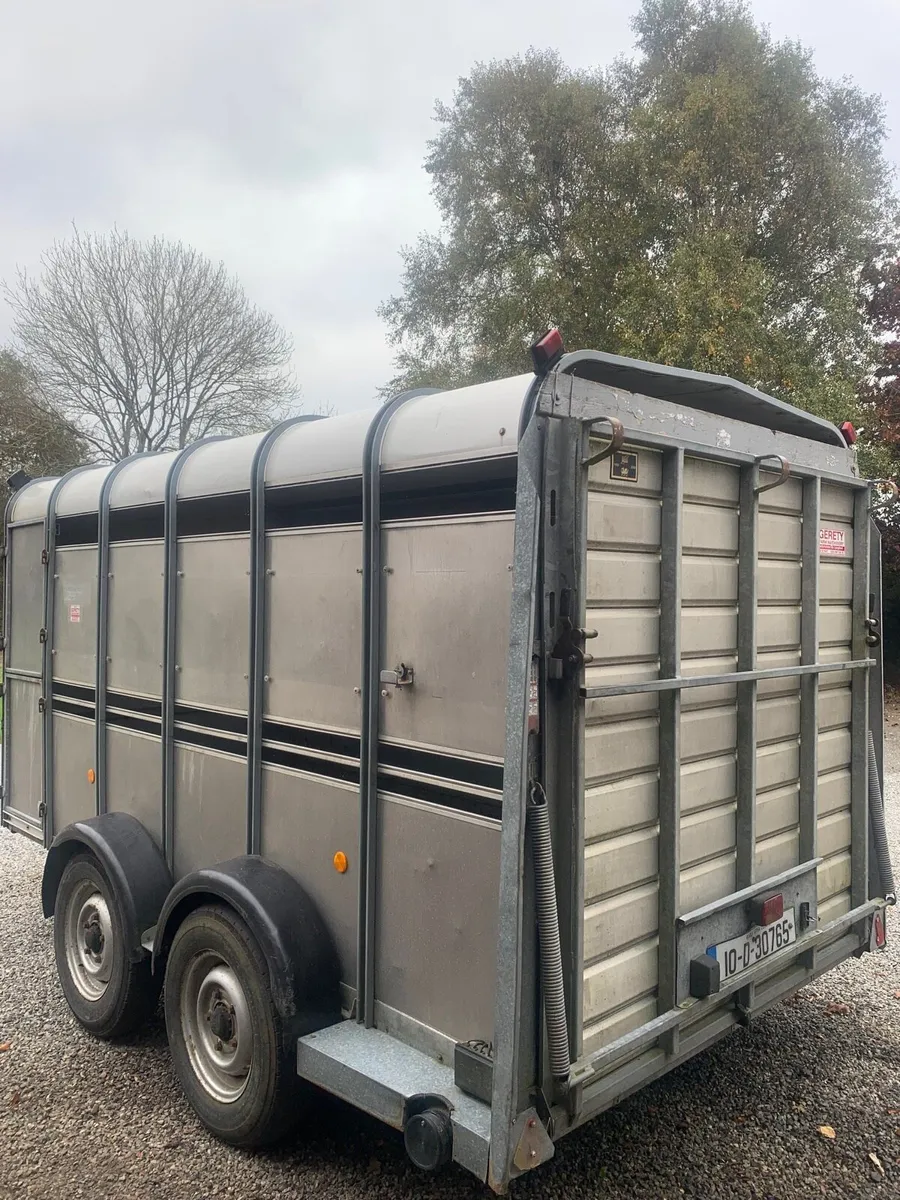 Ifor Williams 12x5”10ft Cattle Trailer - Image 4