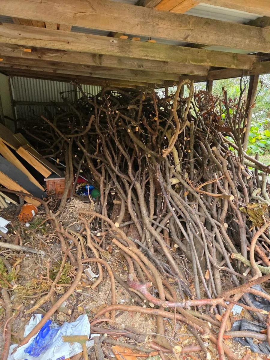 Free timber - Image 1