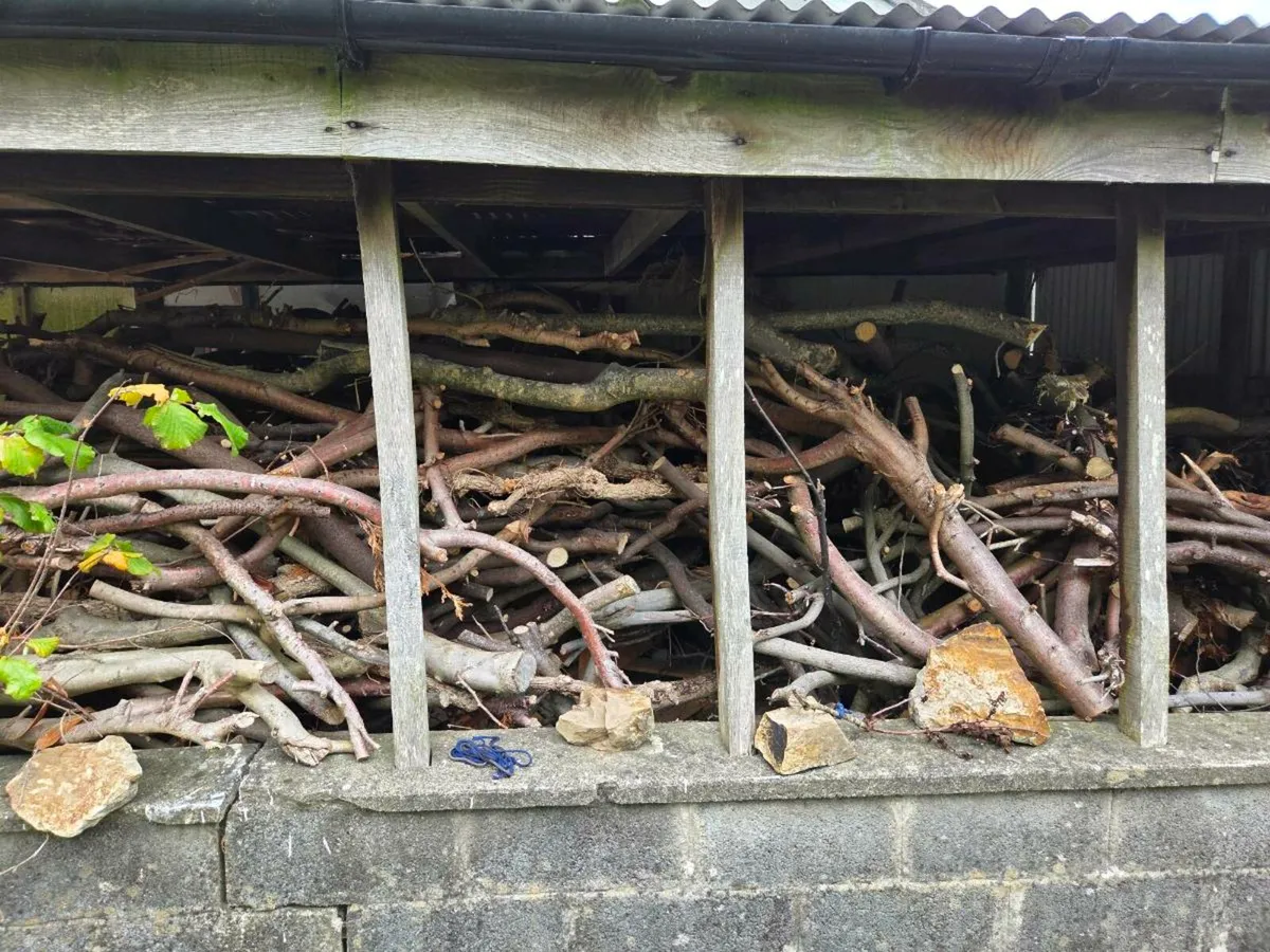Free timber - Image 2