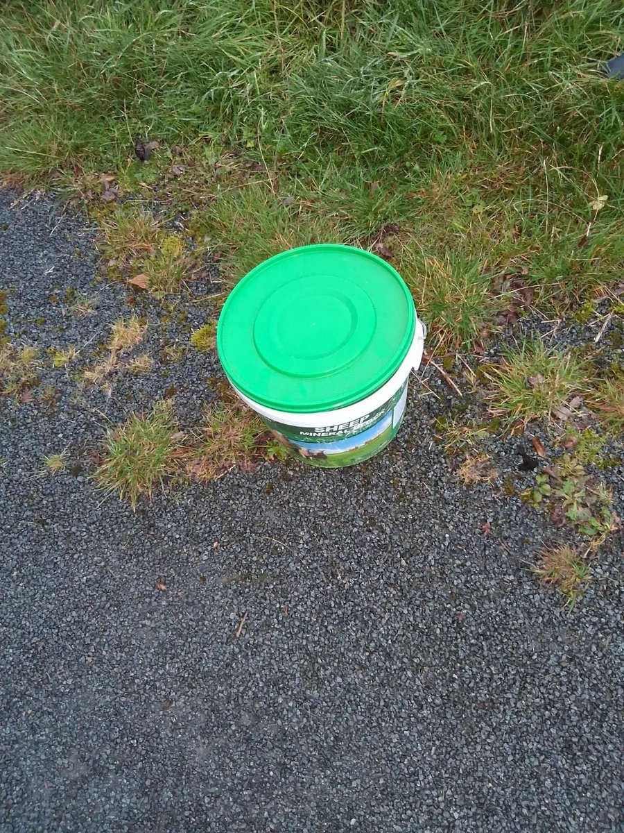 Buckets - Image 1