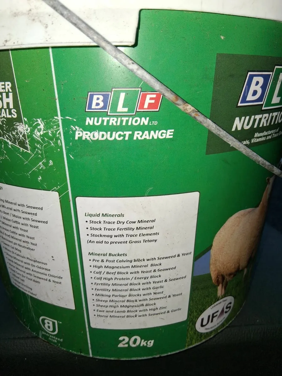 Buckets - Image 2