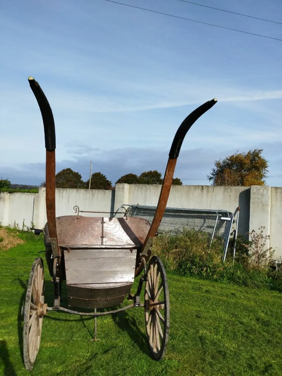 Horse Trap - Image 2