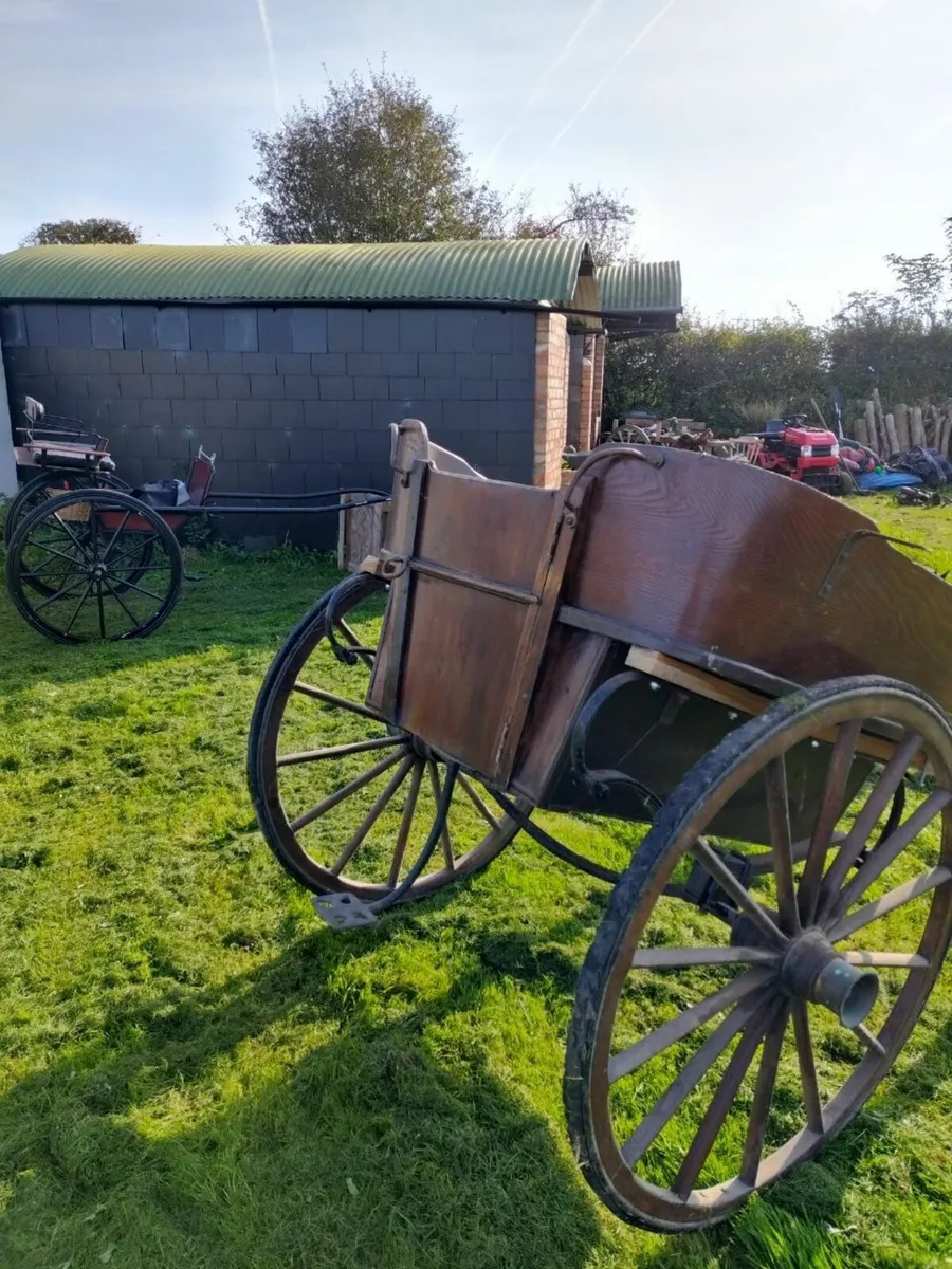 Horse Trap - Image 3