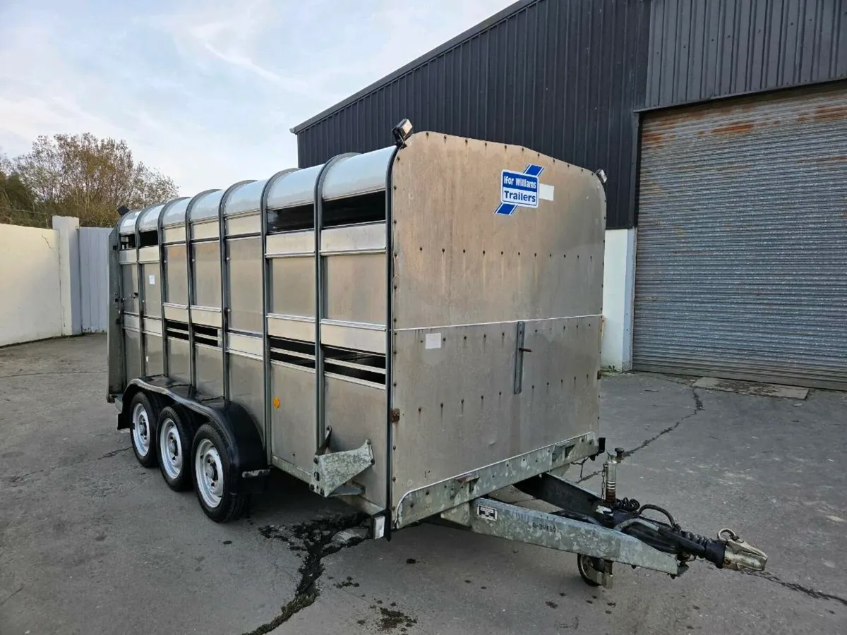 Ifor Williams 14 x 6 cattle box - Image 1