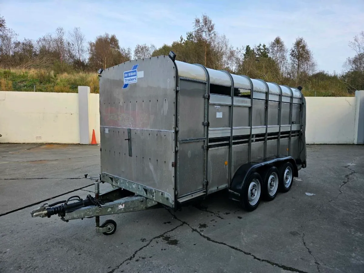 Ifor Williams 14 x 6 cattle box - Image 2