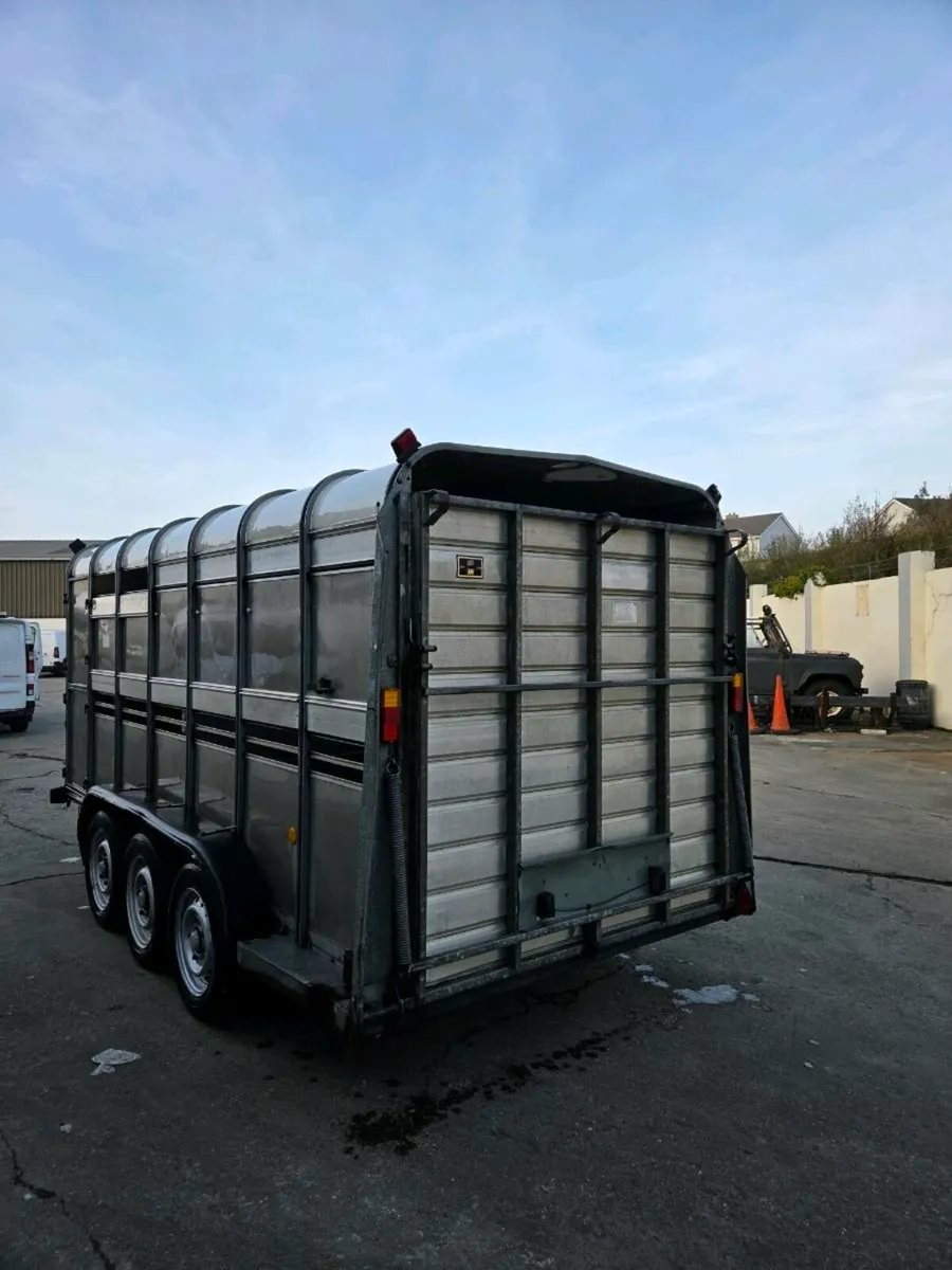 Ifor Williams 14 x 6 cattle box - Image 3
