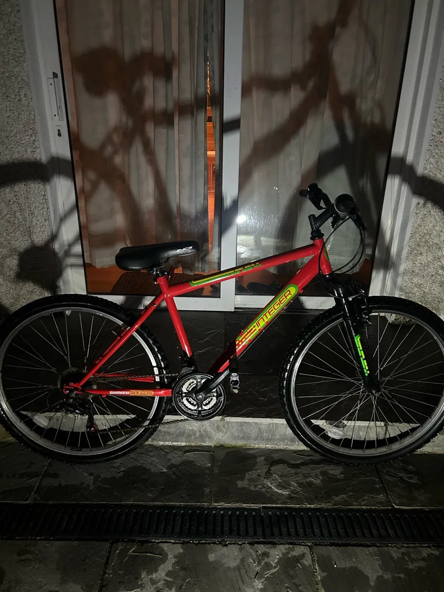 Integer Mountain Bike - Image 1
