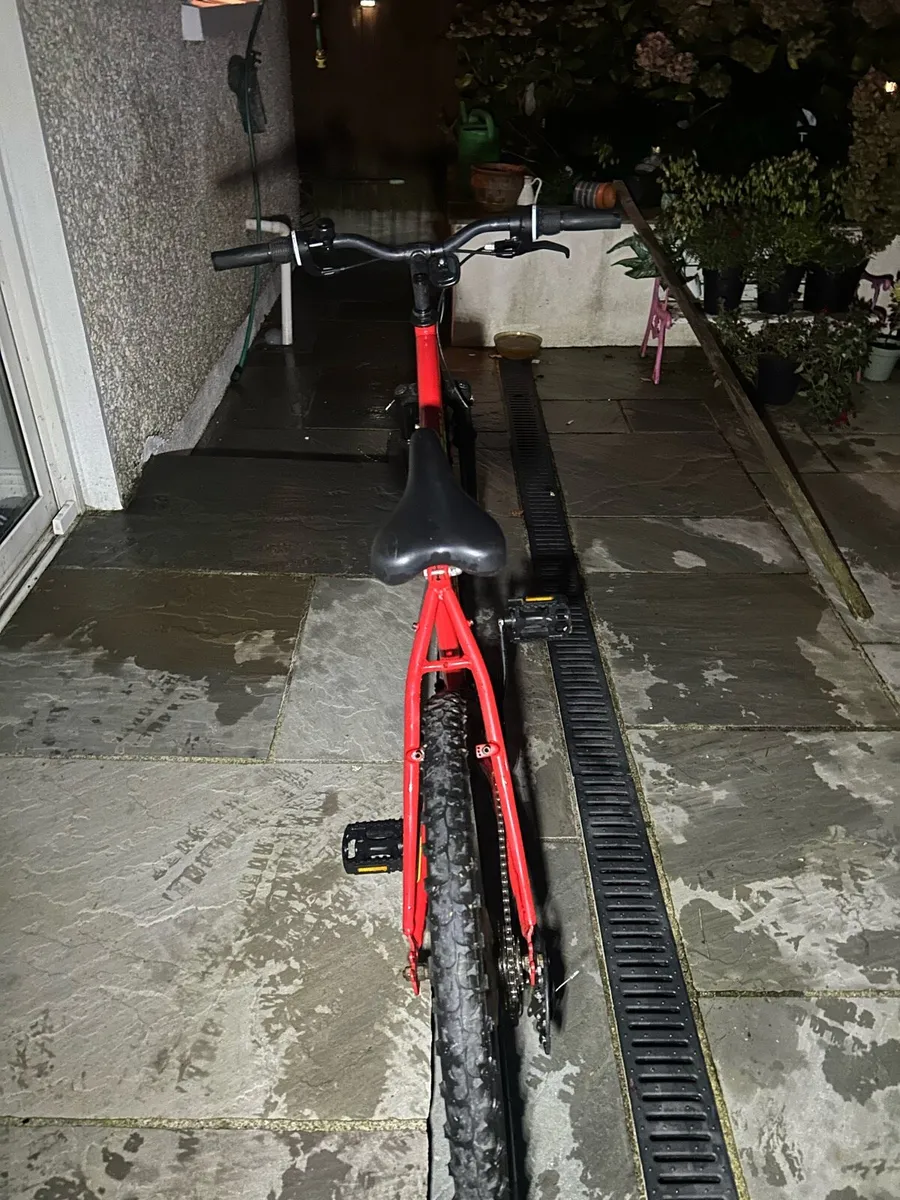 Integer Mountain Bike - Image 2