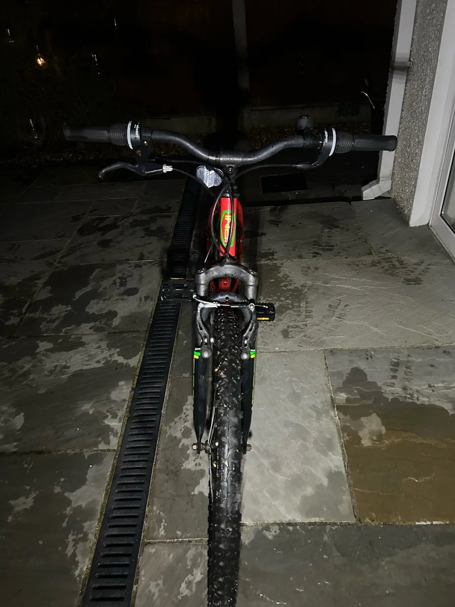 Integer Mountain Bike - Image 3