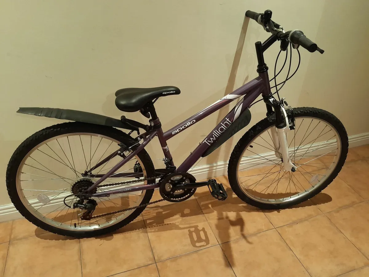 Bicycle - Image 4