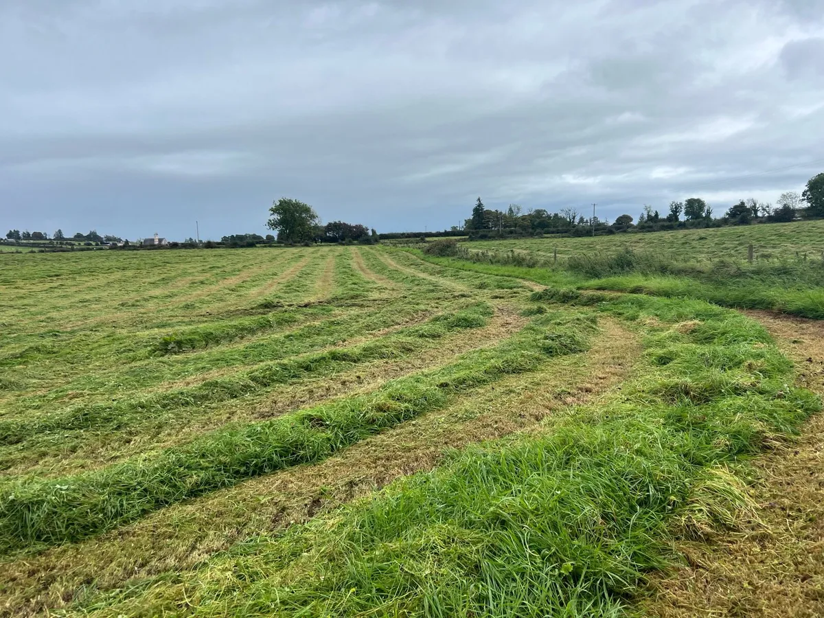 Silage bales for sale - Roscommon - Image 1