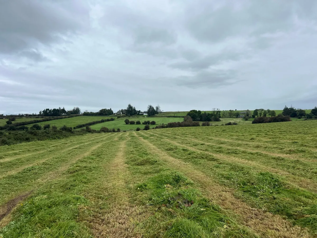 Silage bales for sale - Roscommon - Image 2