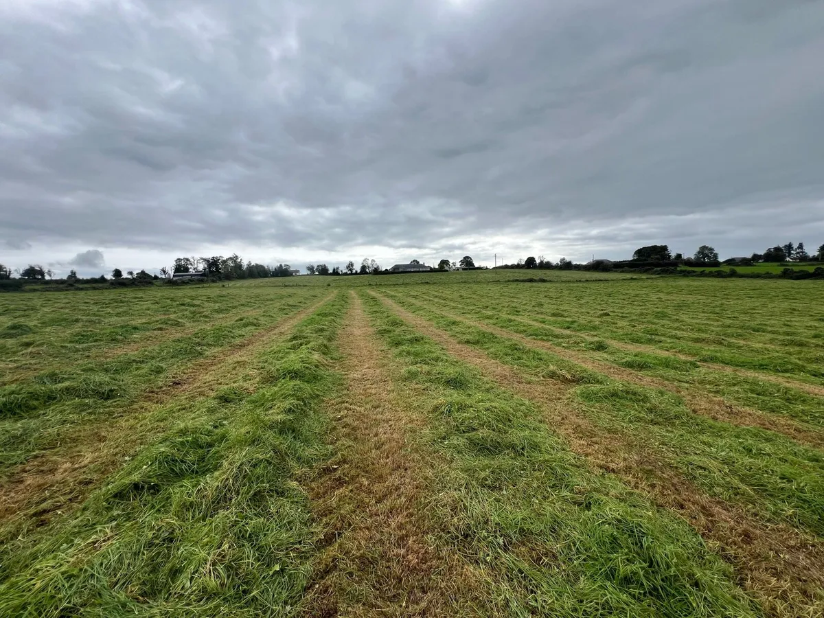 Silage bales for sale - Roscommon - Image 3