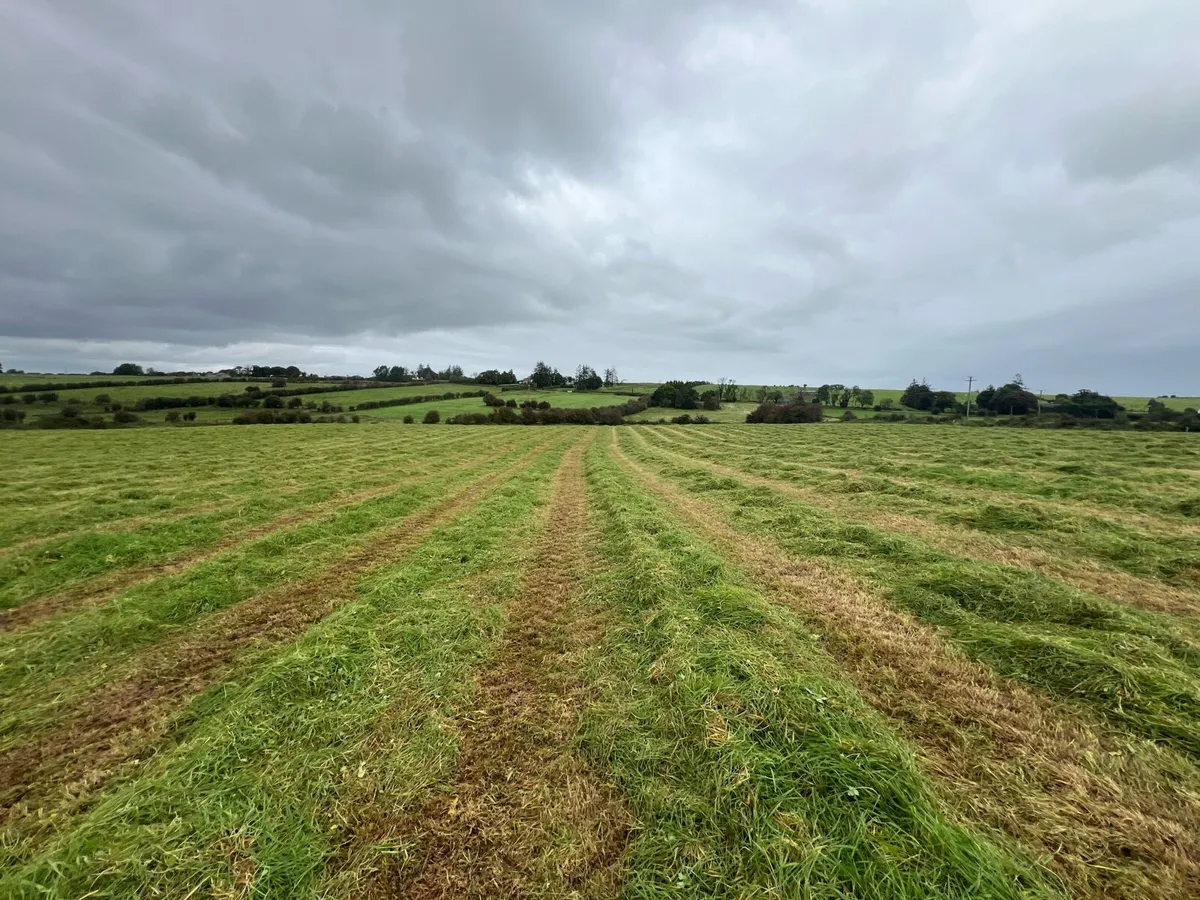 Silage bales for sale - Roscommon - Image 4