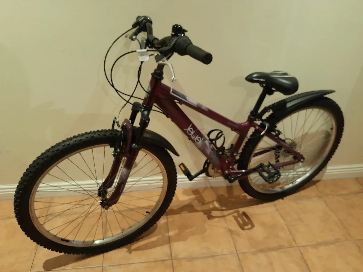 Bicycle - Image 1
