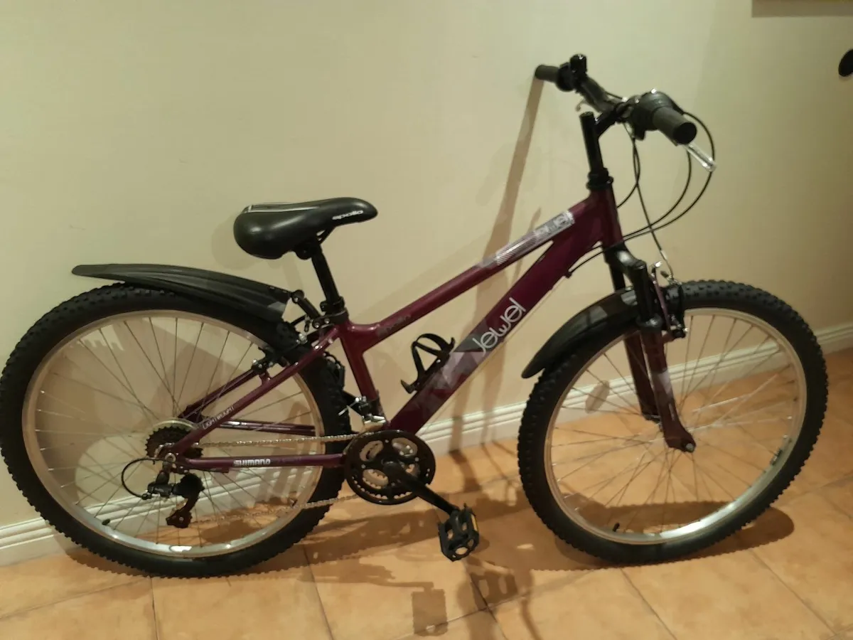 Bicycle - Image 4