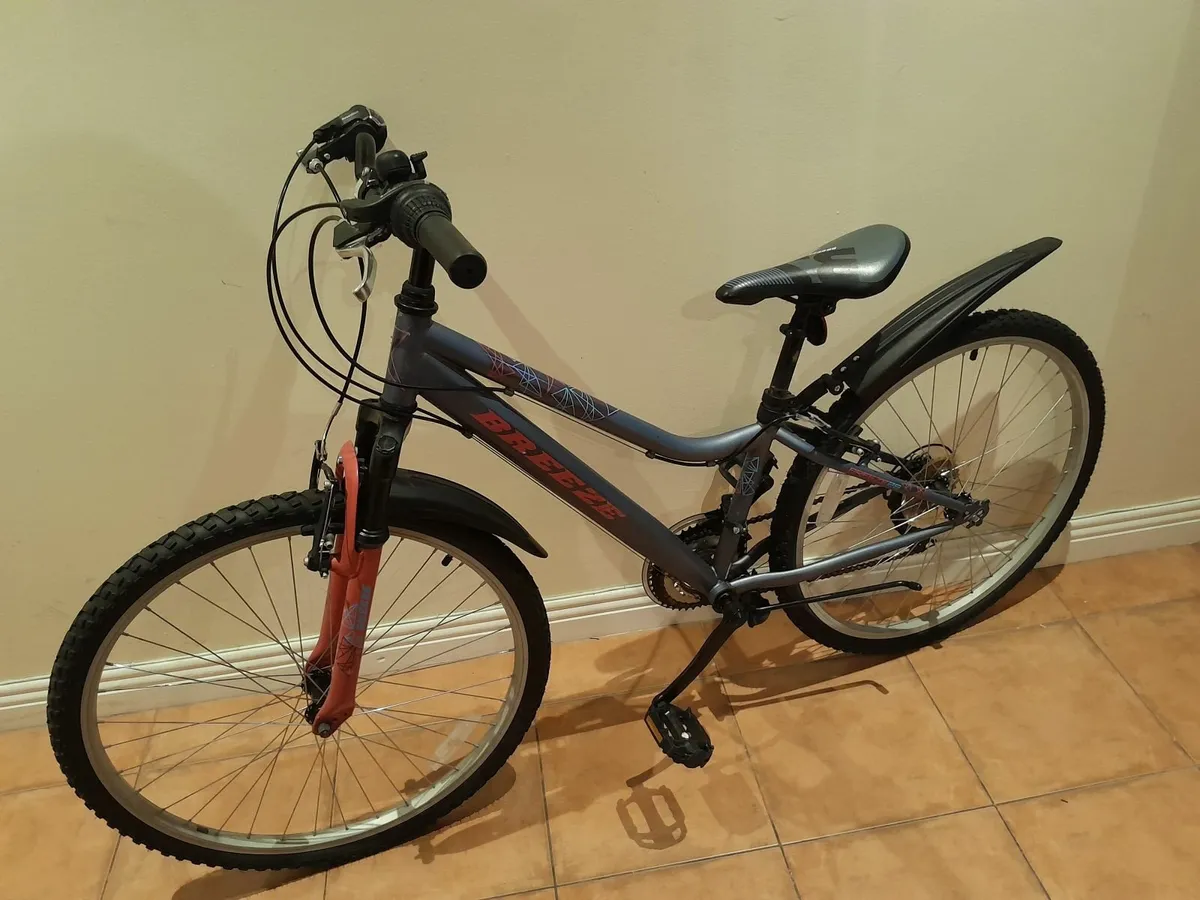 Bicycle - Image 1