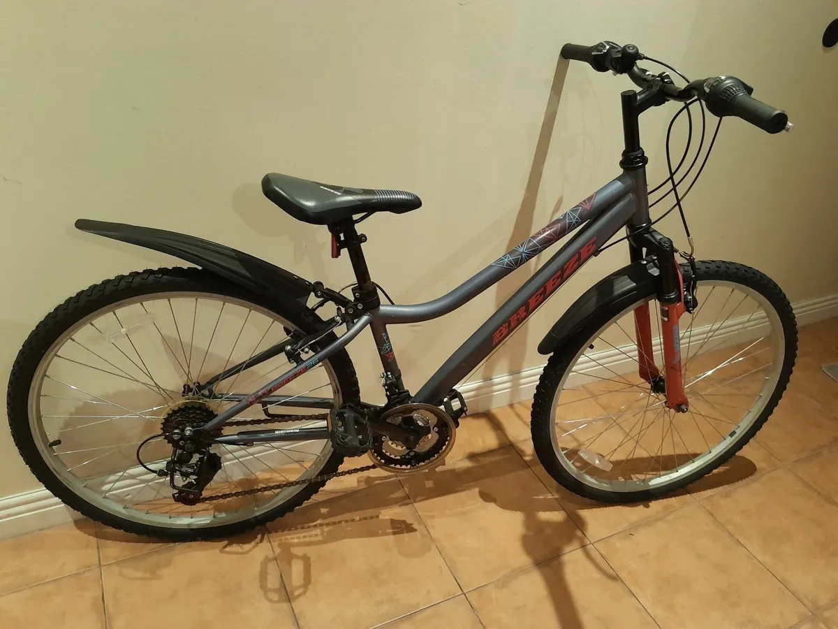 Bicycle - Image 3