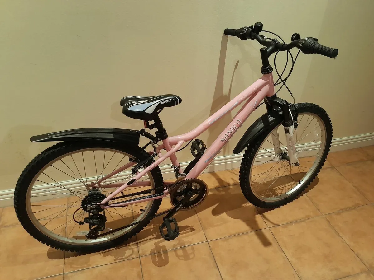 Bicycle - Image 2