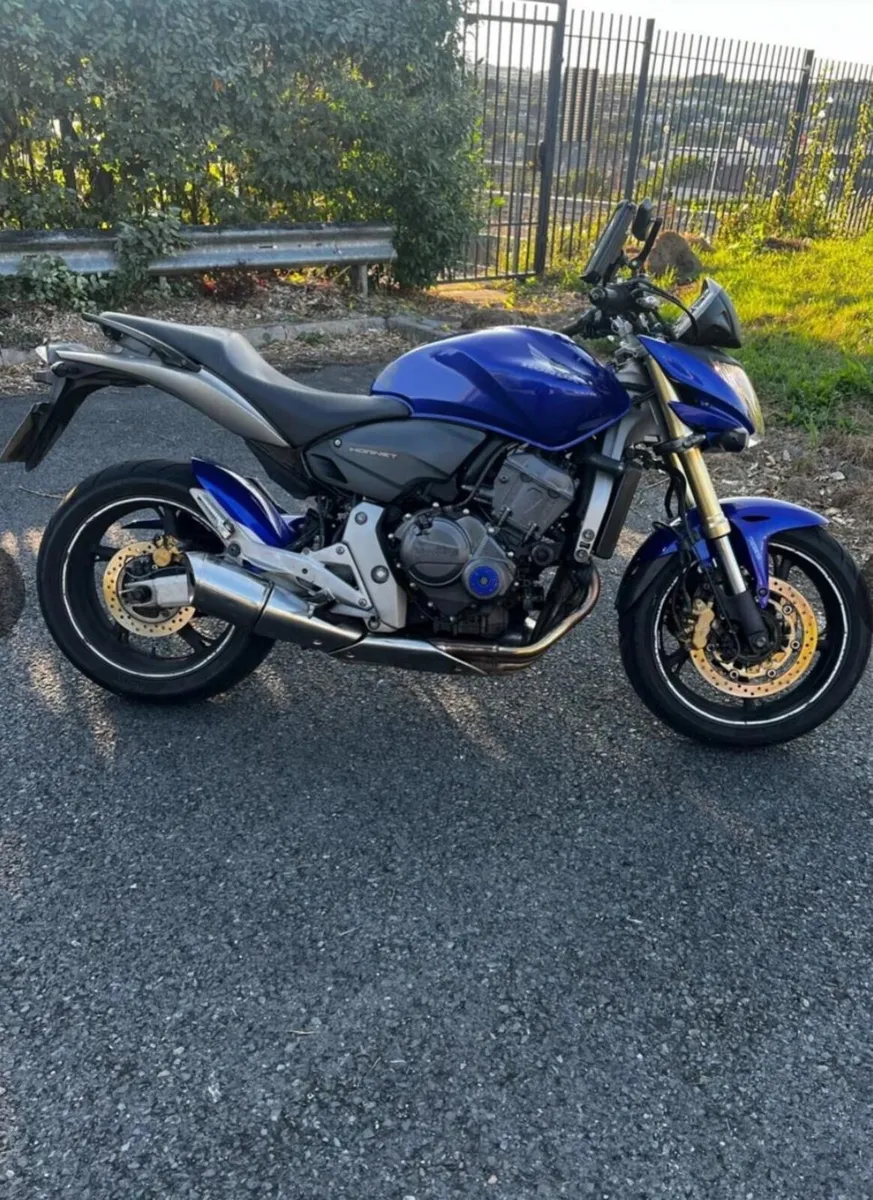 Stunning 2008 Honda CBF Hornet 600 Motorbike - Image 1