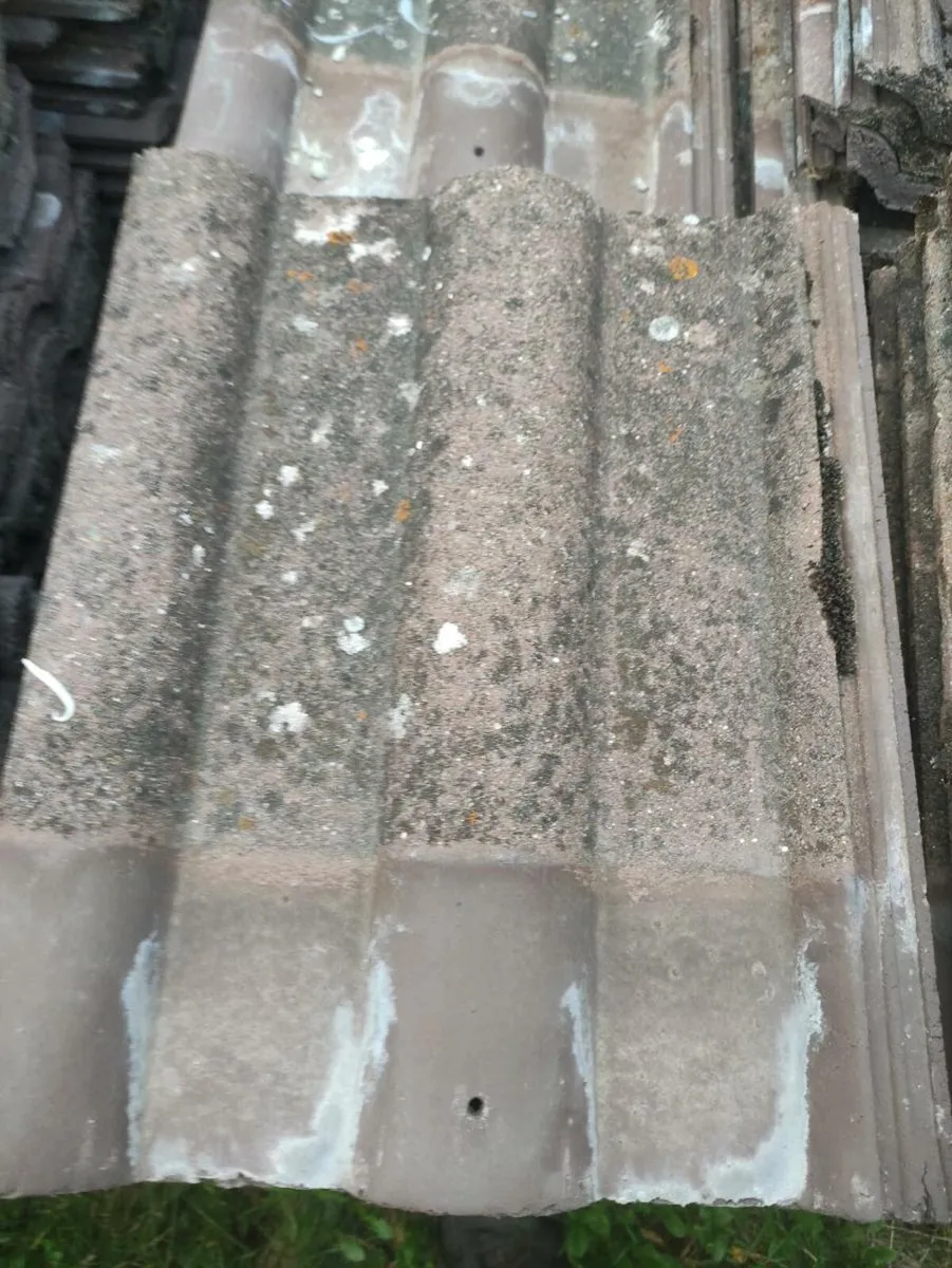Roof tiles - Image 2