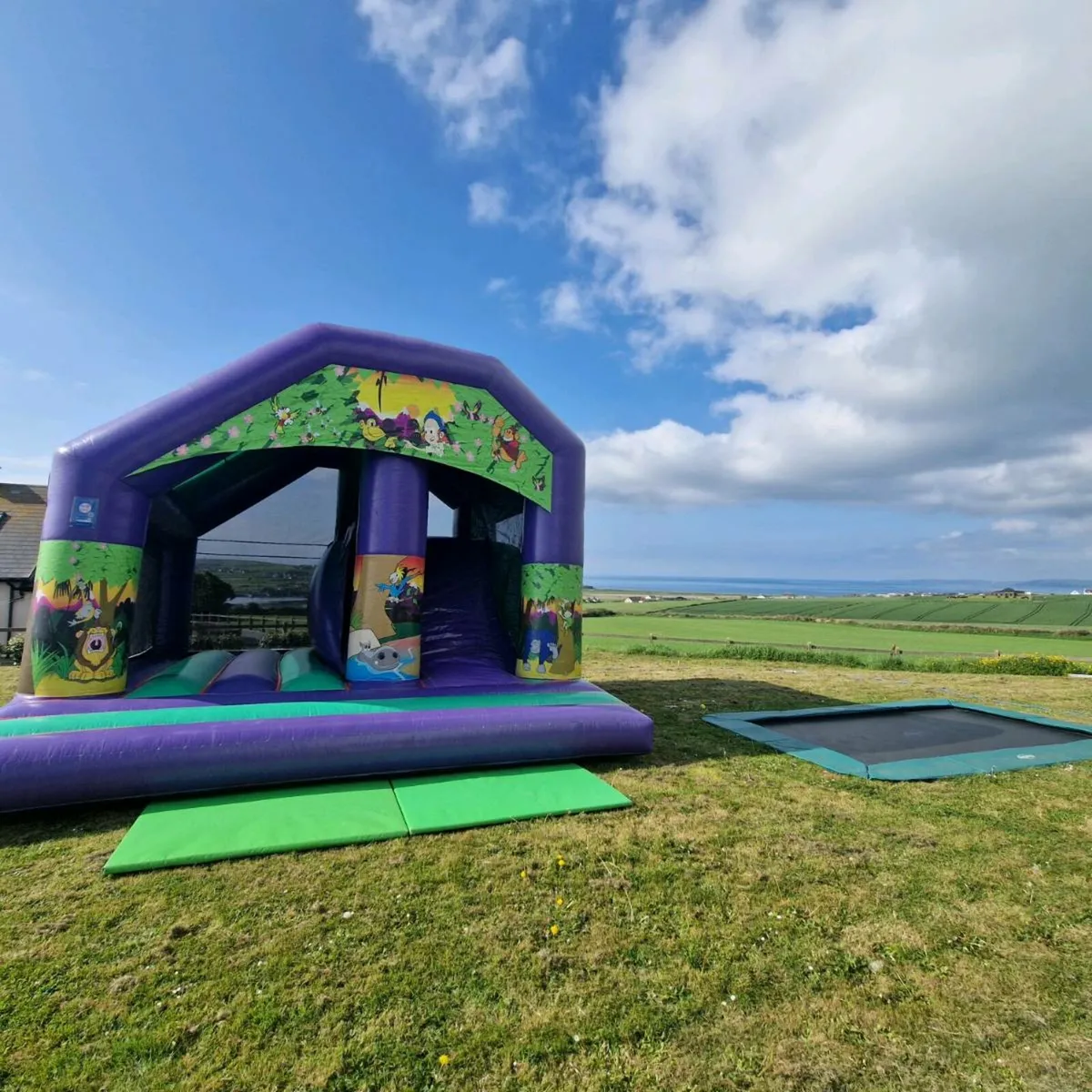 Bouncy castles - Image 3