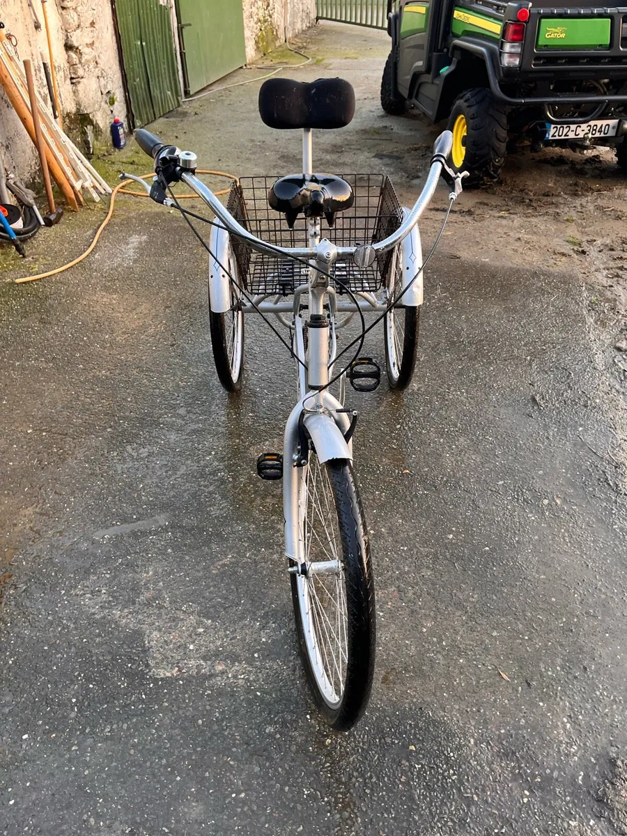 Tricycle - Image 1