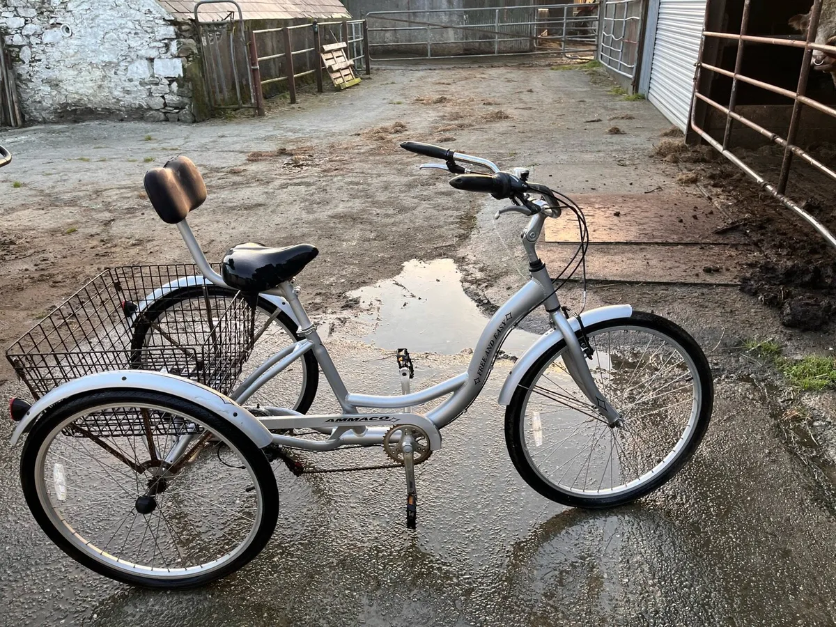 Tricycle - Image 2