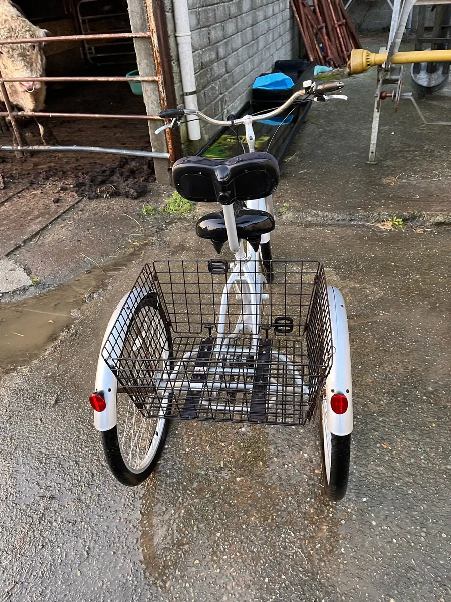 Tricycle - Image 3