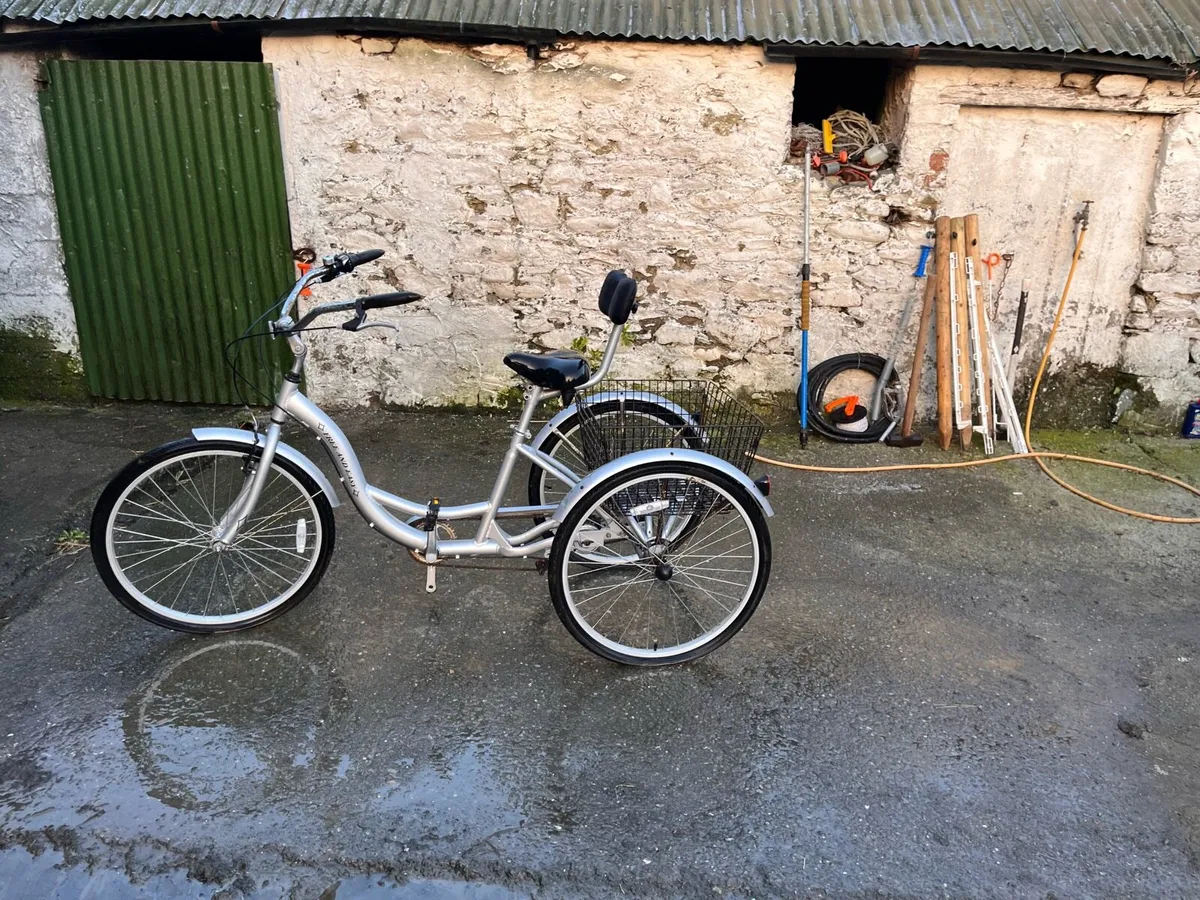 Tricycle - Image 4