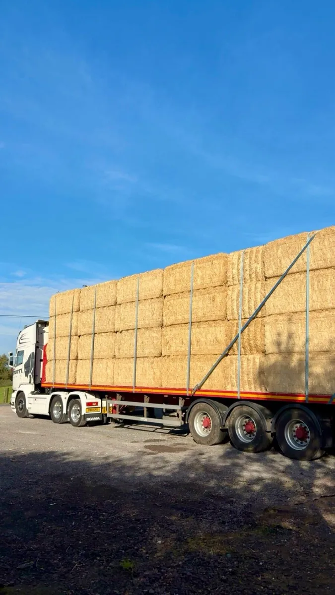 English & Spanish Straw - Ex Yard / Delivered - Image 3