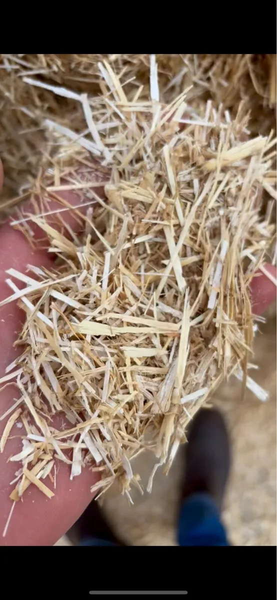 English & Spanish Straw - Ex Yard / Delivered - Image 4