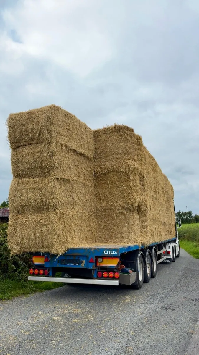 English & Spanish Straw - Ex Yard / Delivered - Image 3