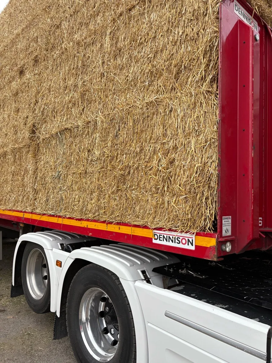 English & Spanish Straw - Ex Yard / Delivered - Image 4
