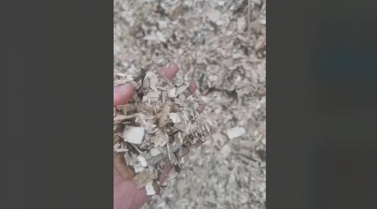 Bulk Dry Mini Chip Delivered - Image 2