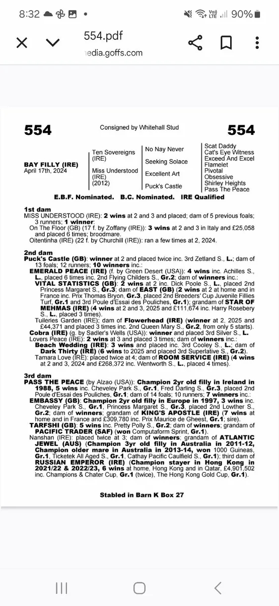 Winning mare infoal to Aesop's Fables - Image 2
