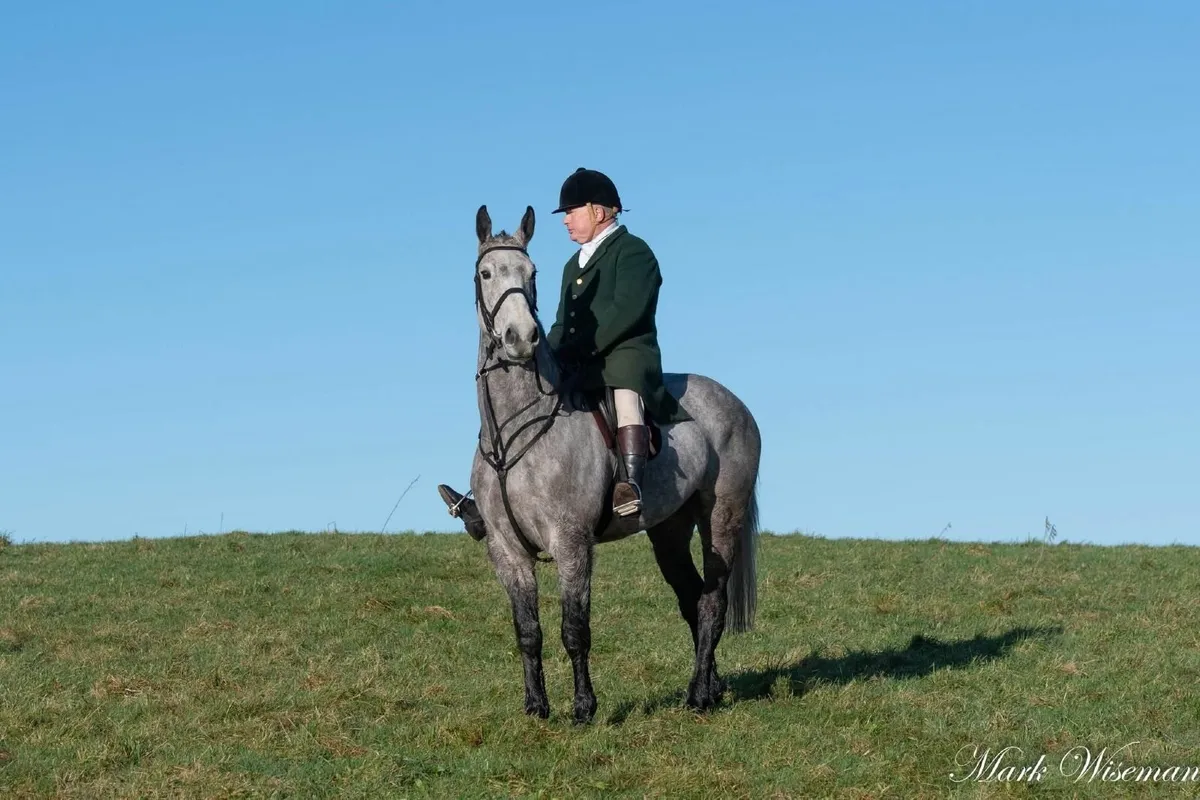 Hunter - Image 1