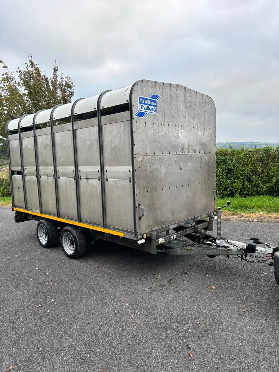 Ifor williams 12x6”6 cattle box - Image 1