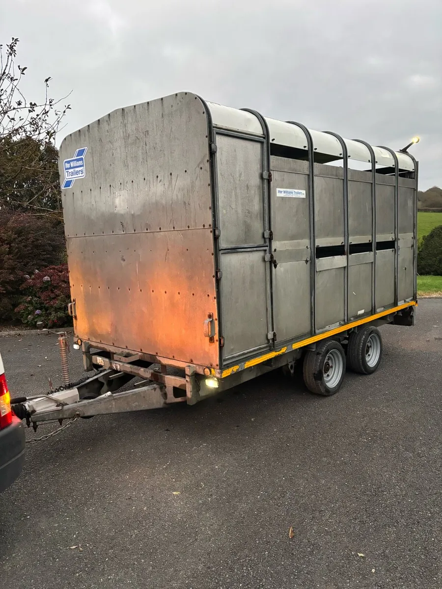 Ifor williams 12x6”6 cattle box - Image 3